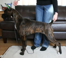 Tienlung's Proof of Concept (Canada) at 6 months.