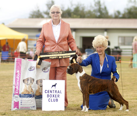 Lainee Best Puppy in Show, Central Boxer Club