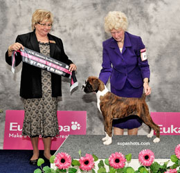 Lainee Best Baby Puppy in Show, Ruahine