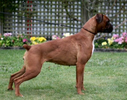 Ronin Tamu Tandia at Zubeda at three years old.