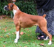 Roma at 3 years old