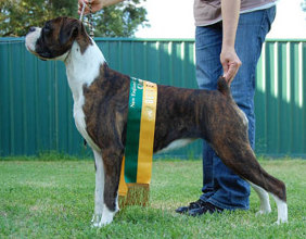 Best of group at 12 months.