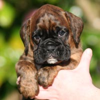 Jackson headshot 5 wks