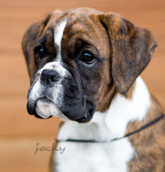 Lainee head 3 months