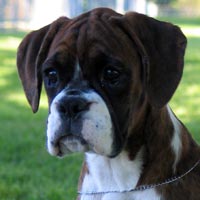 Sophie's head at 3 months.