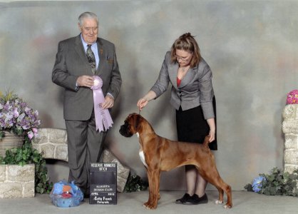 Vala at the Boxer Club