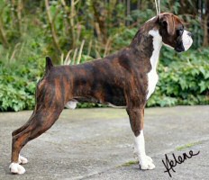 Winuwuk Brief Encounter