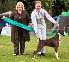 Winuwuk Brief Encounter