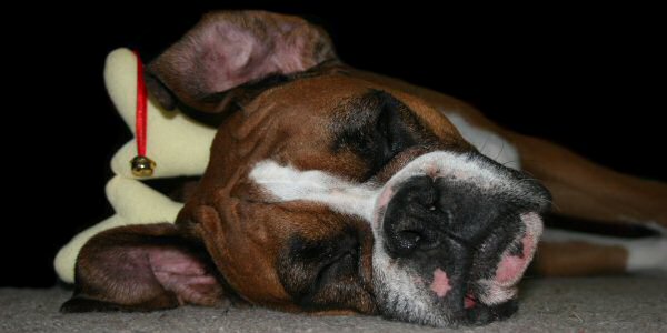 Memphis recovering after a busy Christmas day.