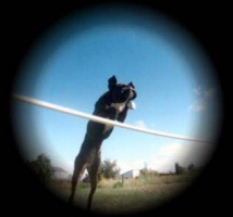 India Agility Training