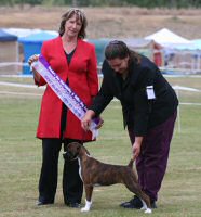 NZ & Aust Ch Ronin Sip of Scotch CGCB winning Best Baby Puppy in Show