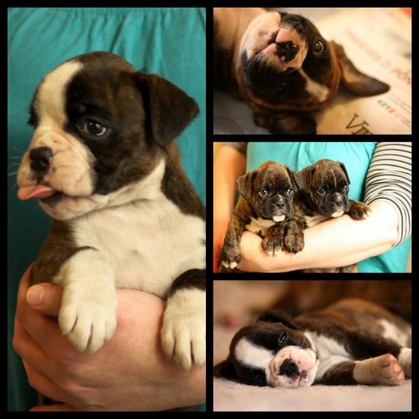 Candids  at 6 weeks.