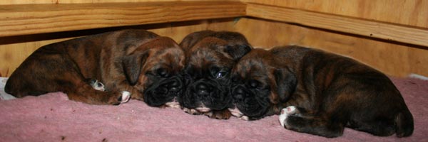 Candid at 4 weeks old.