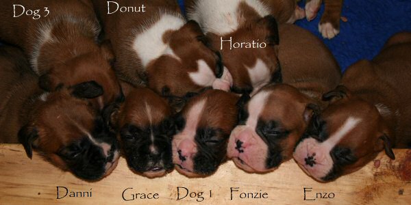 Feeding time is tiring.