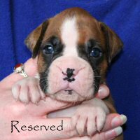 Fonzie Fonzarelli (Fonzie), day nineteen.