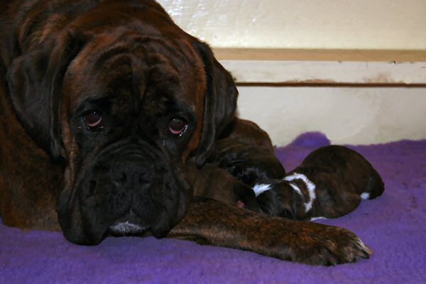 I will squeeze you like my mum squeezed me!